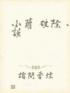 小萝 破除 小说封面