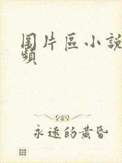 图片区小说区视频封面
