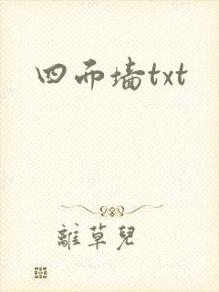 四面墙txt封面