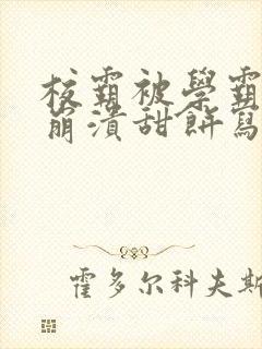校霸被学霸玩到崩溃甜饼写手