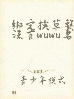 绑定挨草系统后没有wuwu名字