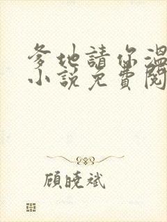 爹地请你温柔点小说免费阅读