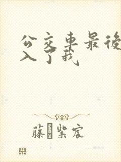 公交车最后一排入了我