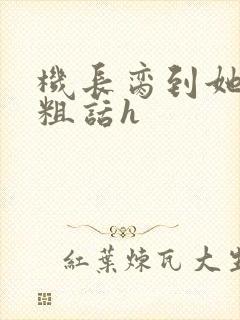 机长脔到她哭h粗话h封面