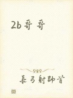2b哥哥