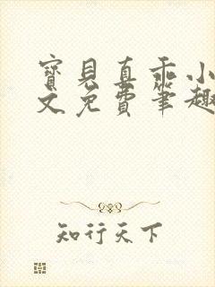 宝贝真乖小说全文免费笔趣阁