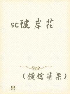 sc彼岸花封面