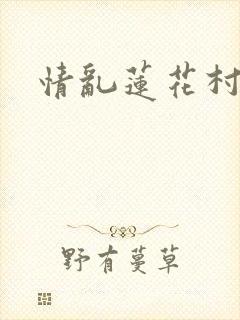 情乱莲花村封面