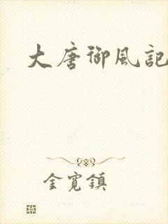 大唐御风记