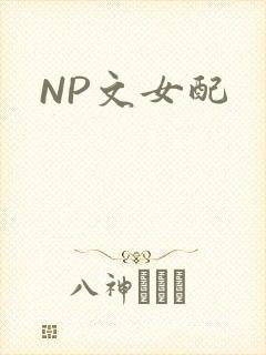 NP文女配