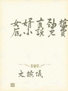 女婿有劲枪枪到底小说免费阅读封面