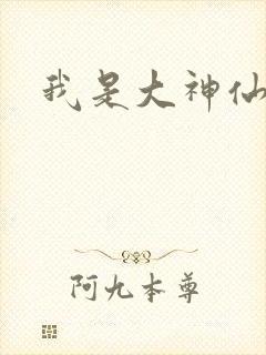 我是大神仙小说封面
