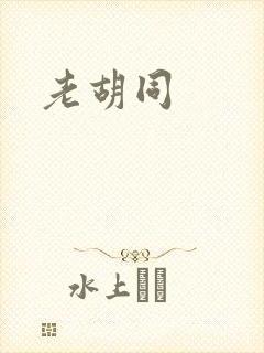 老胡同