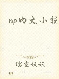np肉文小说封面