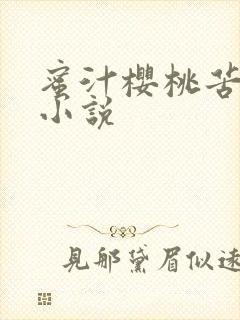 蜜汁樱桃苦咖啡小说