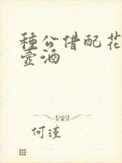 种公借配花间一壶酒