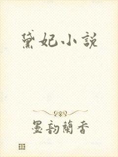 黛妃小说