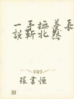 一手抚养长大小说靳北然封面