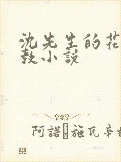 沈先生的花式调教小说