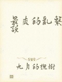 最爽的乱系列小说