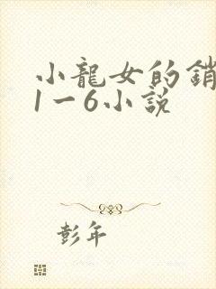 小龙女的销魂夜1一6小说封面