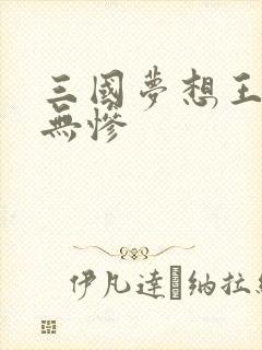三国梦想王元姬无惨