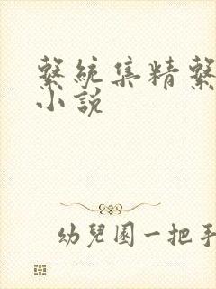 系统集精系统 小说