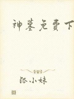 神墓免费下载