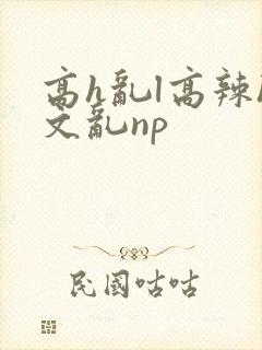 高h乱l高辣h文乱np封面