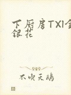 下厨房TXl金银花