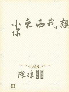 小东西我想弄坏你