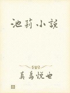 池莉小说封面