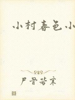 小村春色小说