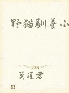 野猫驯养小说封面