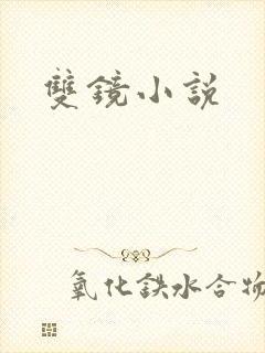 双镜小说