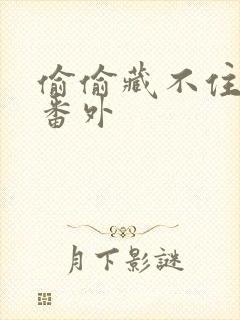 偷偷藏不住新婚番外