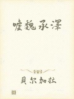 嘘魏承泽
