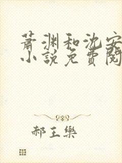 萧渊和沈安安的小说免费阅读
