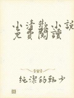 小清欢小说全文免费阅读