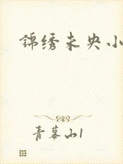 锦绣未央小说