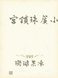 宫锁珠帘小说