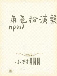 角色扮演系统(npn)封面