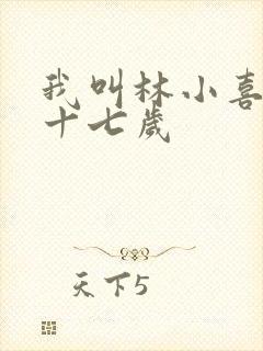 我叫林小喜今年十七岁封面