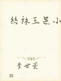 丝袜玉足小说