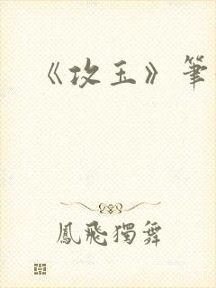 《攻玉》笔趣阁封面