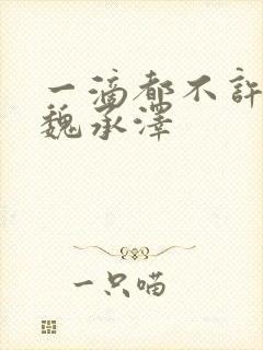 一滴都不许漏 魏承泽封面
