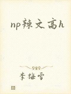 np辣文高h