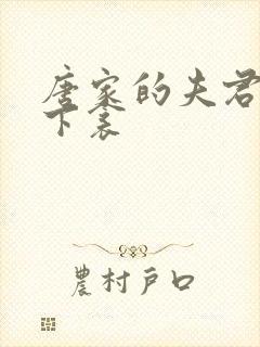 唐家的夫君们帘下衾
