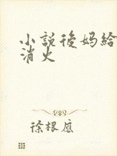 小说后妈给我消消火
