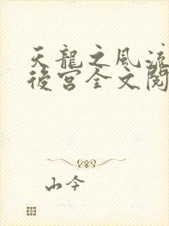 天龙之风流猎艳后宫全文阅读